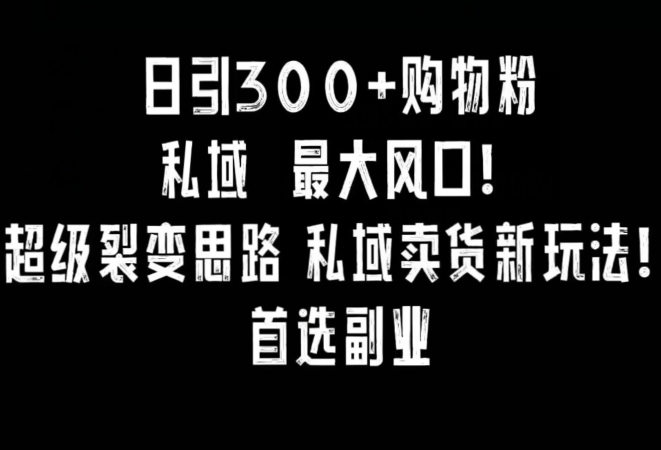 日引300+购物粉，超级裂变思路，私域卖货新玩法，小红书首选副业【揭秘】