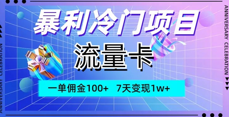 爆利蓝海项目，上网卡，一单提成100 ，7天转现1w-暖阳网-优质付费教程和创业项目大全