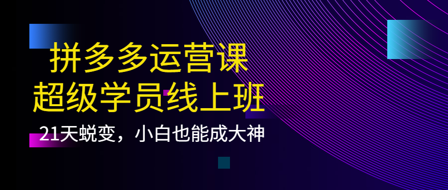 拼多多运营课：超级学员线上班，21天蜕变，小白也能成大神