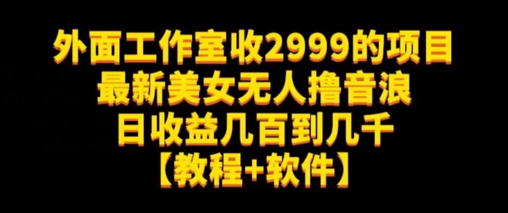 外边个人工作室收2999项目全新漂亮美女没有人撸抖币日盈利几百到几千【实例教程 手机软件】（仅揭密）