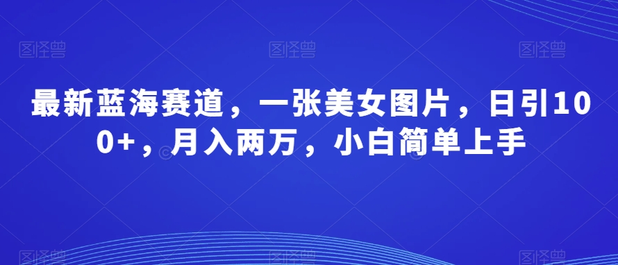 全新瀚海跑道，一张美女照片，日引100 ，月入2万，新手简易入门