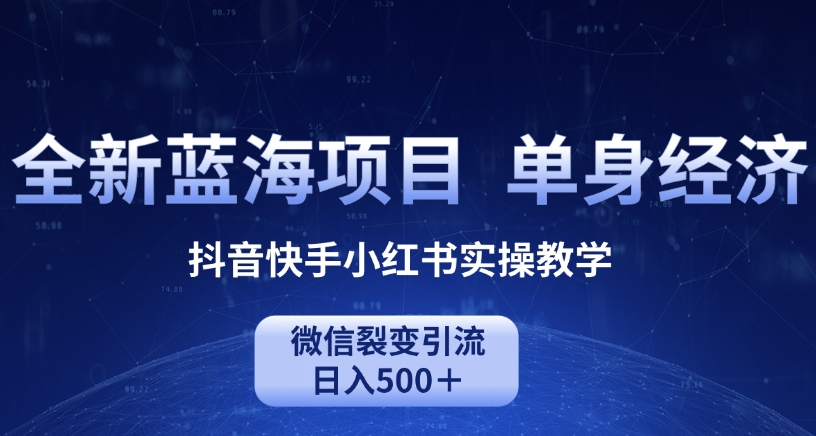 全新蓝海项目，单身经济抖音快手小红书实操教学，微信裂变引流日入500＋