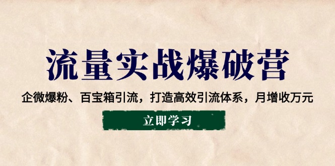 （14039期）总流量实战演练工程爆破营：企业微信涨粉、宝盒引流方法，打造高效引流方法管理体系，月创收万余元