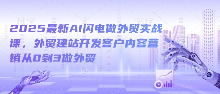 2025全新AI雷电做跨境电商实战演练课，外贸网站建设寻找客户内容运营从0到3做跨境电商