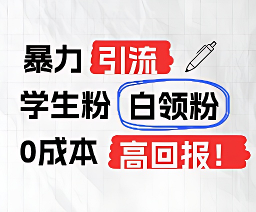 暴力行为引流方法学生们粉上班族粉，完爆过去废弃物游戏玩法，0成本费，高收益