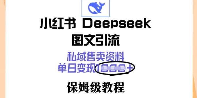 小红书的Deepseek图文并茂引流方法，公域出售材料，单日转现好几张，家庭保姆级实例教程