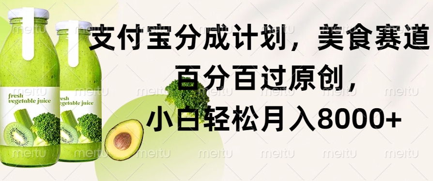 支付宝钱包分为方案，特色美食跑道，百分之百过原创设计，新手轻轻松松月入8000