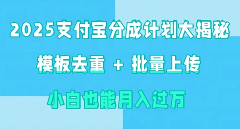 2025支付宝钱包分为方案大曝光 模版去重复 批量采集 新手也可以月入了w