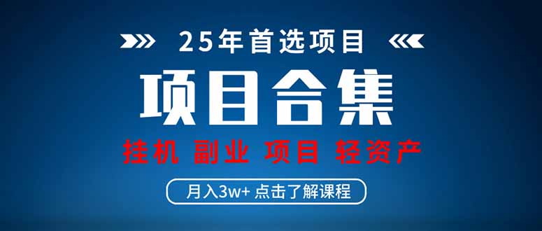 （14175期）2025 实际操作新项目合辑 放置挂机种类 直播类型 轻资产创业种类 课程分享各分部...
