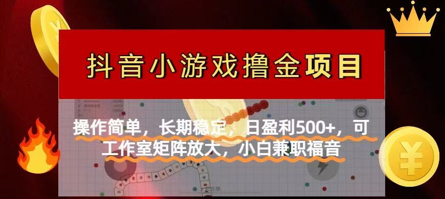 （14290期）【抖音小游戏外国投资者计划项目】使用方便，持续稳定，日赢利500 ，可工作中...