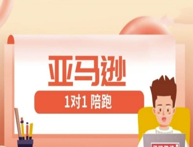 亚马逊平台1对1陪跑课(FBA/FBM精铺)跨境电商亚马逊平台实例教程